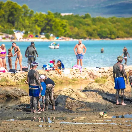 In - Insel Krk 53309 Appartamento Malinska